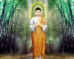 Cái nhìn của một hành giải về Bộ Đại Thủ Ấn ( MAHAMUDRA )