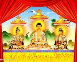 Lịch sử và sự truyền thừa Tịnh độ tông