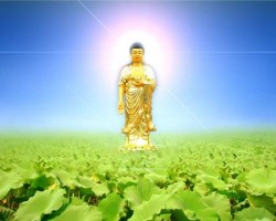 Giáo nghĩa Tịnh độ tông