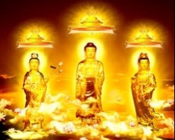 Tịnh độ tông có truyền thừa Tổ vị không?