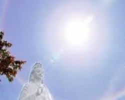 Tụng ánh sáng từ bi