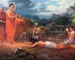 Cuộc Đời Đức Phật Thích Ca