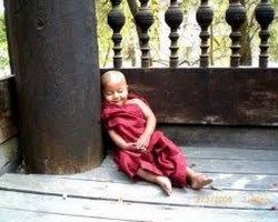 Chú Tiểu Tây Tạng
