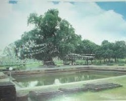 ẤN ĐỘ :Vạch Ra Chiến Lược Phát Triển Du Lịch Phật Giáo