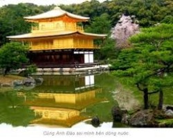 Pháp Môn Dược Sư