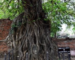 Huyền Không Sơn Thượng Chốn Thanh Bình Nơi Cửa Phật