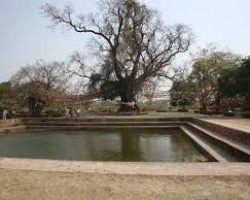 Trung Quốc và Ấn Độ tranh giành nhau một biểu tượng Phật giáo