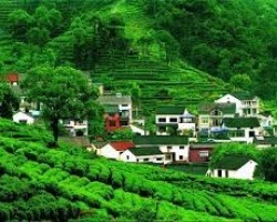 Lời Phật Dạy Về Công Ơn Cha Mẹ