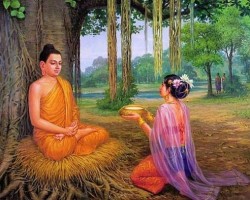 Hồi Quang Phản Chiếu - Phản Quan Tự Kỷ