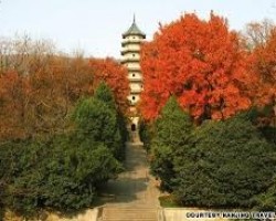 10 lời khuyên giúp chúng ta biết sống và đi theo dấu chân của Đức Phật