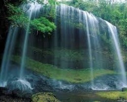 Nhiệp Chướng Đầu Mối Để Hình Thành