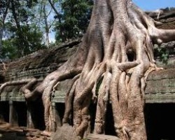 Nghi Thức Thỉnh Đại Hồng Chung