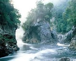 Nghi Thức Cúng Ngọ