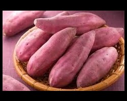 Tác Dụng Chữa Bệnh Của Khoai Lang