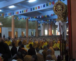 Hành Gỉa Thiền Định