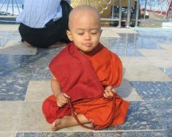 Những Suy Tư Trên Con Đường Tu Tập Pháp