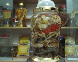 Những Bài Thuốc Chữa Vô Sinh