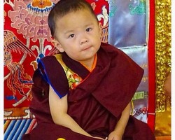 Lễ Cung Nghinh Xá Lợi Phật Và Lễ Vu Lan Chùa Phúc Lương P1