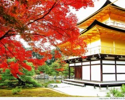 Ảnh Các Ngôi Chùa Đẹp Ở Nhật Bản
