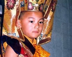 Truyền Thống Tái Sanh Của Các Vị Latma