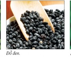 Trị Chứng Bốc Hỏa Thời Kỳ Mãn Kinh