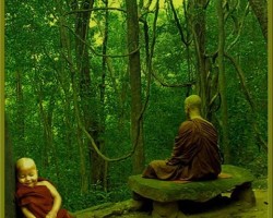 Lễ Cầu Siêu Dành Cho Chó Mèo Tại Hà Nội